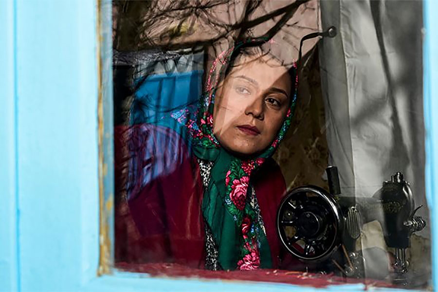 نقد فیلم خجالت نکش
