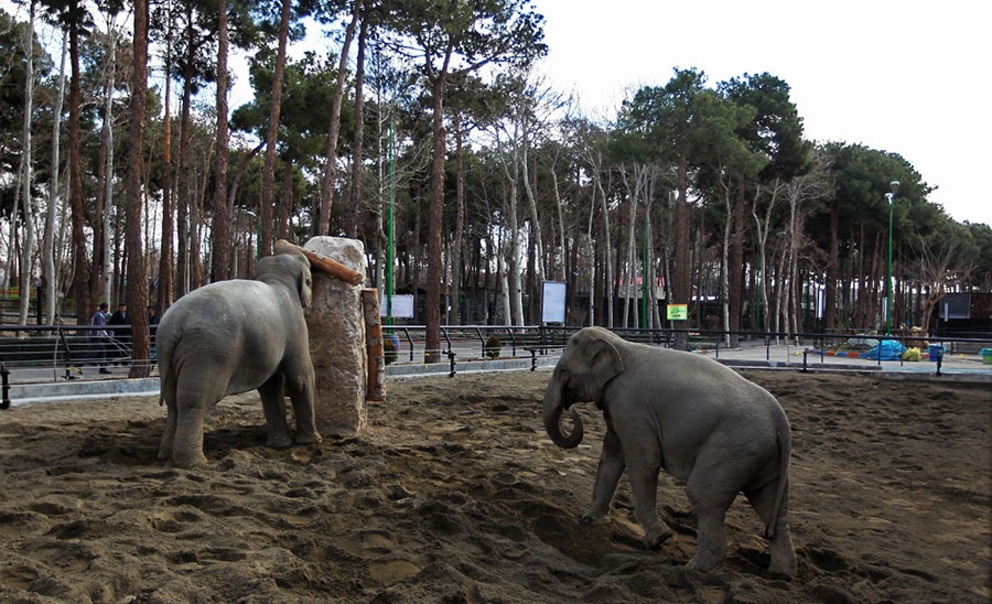 باغ وحش های تهران