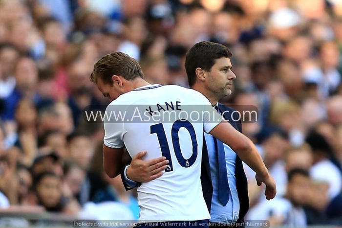 بیوگرافی مائوریسیو پوچتینو