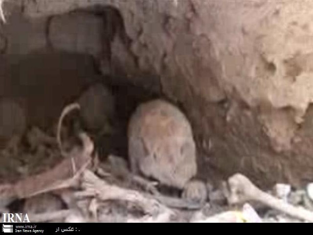 یک گور جمعی قدیمی در بافق یزد کشف شد یک گور جمعی قدیمی در بافق یزد کشف شد