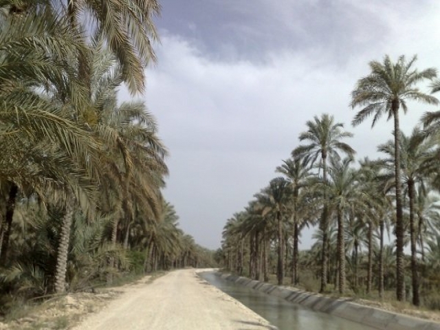 دشتستان و تنگستان بوشهر | آسمونی