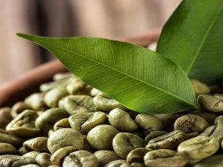 بهترین مارک قهوه سبز ، از کپسول و قرص تا فروش قهوه سبز در عطاری