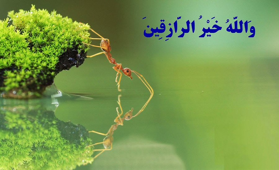 منظور از ( روزی رو اول صبح میدن ) چیست؟ منظور از ( روزی رو اول صبح میدن ) چیست؟