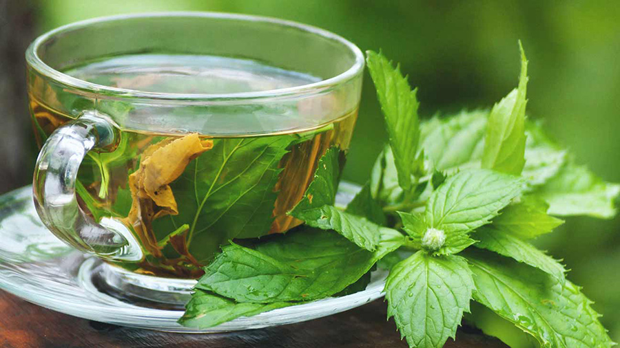 herbal-tea-digestive-system
