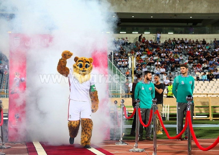 cheetah-symbolized-the-national-team cheetah-symbolized-the-national-team