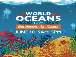 8 ژوئن، روز جهانی اقیانوس ها