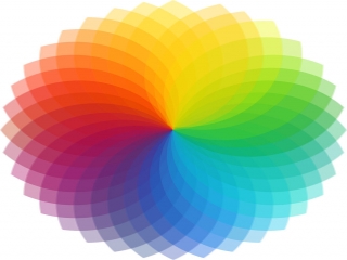 رنگ سازمانی چیست + راهنمای انتخاب رنگ سازمانی