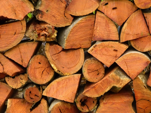 چوب چیست و انواع مصالح چوبی و کاربرد آنها