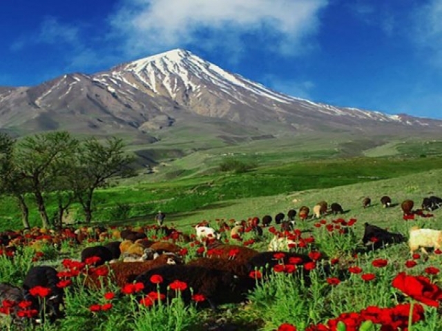 معاون مؤسسه ژئوفیزیک دانشگاه تهران: فعالیتهای آتشفشان دماوند طبیعی است. معاون مؤسسه ژئوفیزیک دانشگاه تهران: فعالیتهای آتشفشان دماوند طبیعی است.