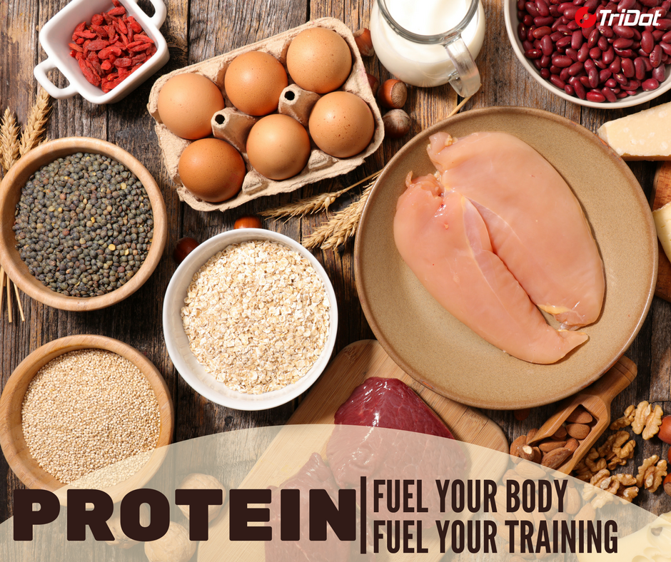 مقدار پروتئین مورد نیاز بدن