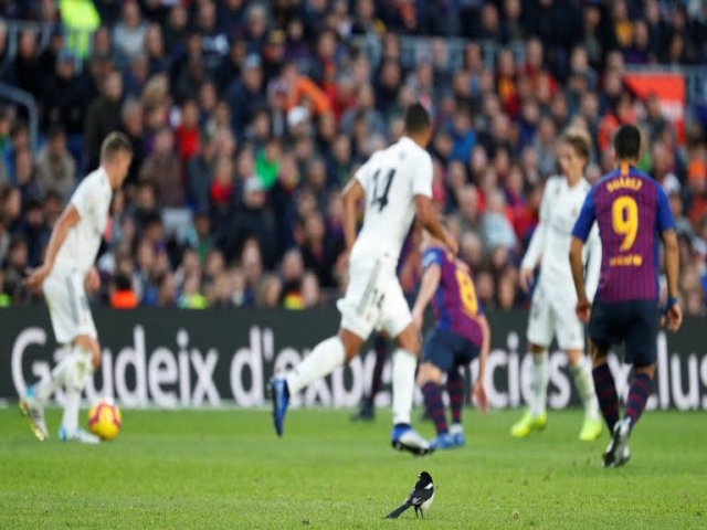 بارسلونا 5 - 1 رئال مادرید ؛ پرز آماده اخراج لوپتگی ! بارسلونا 5 - 1 رئال مادرید ؛ پرز آماده اخراج لوپتگی !