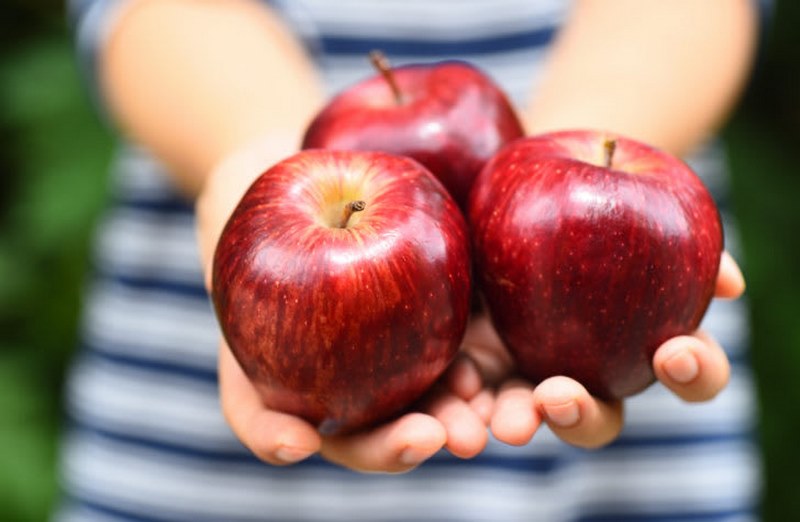 سیب و پیشگیری از یبوست