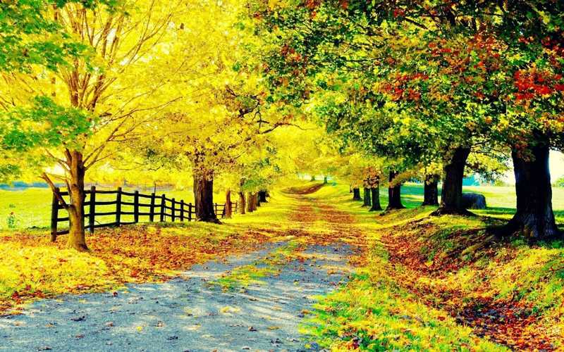 beautiful-pictures-of-autumn