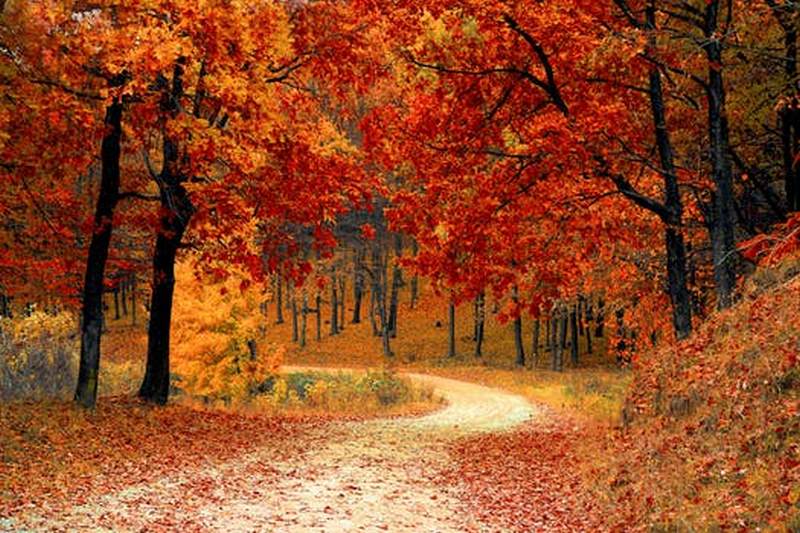 beautiful-pictures-of-autumn