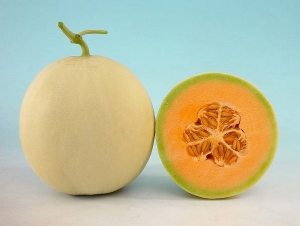 تفاوت میوه های طالبی، خربزه، گرمک، دستنبو و ملون!