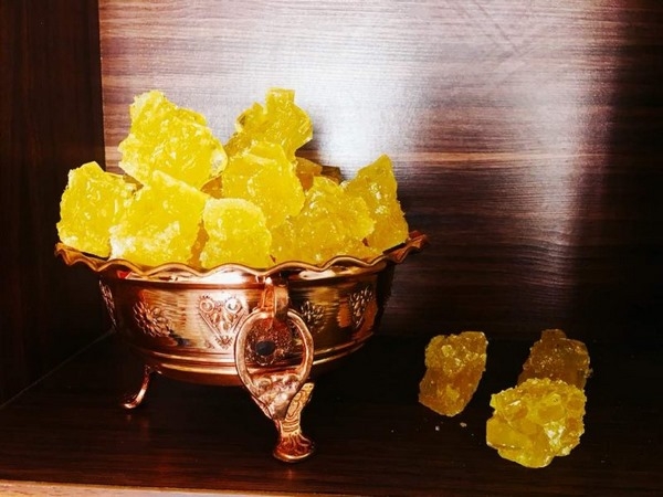 نبات چه فواید و مضراتی دارد؟