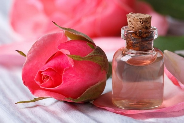 گلاب چگونه تهیه میشود؟
