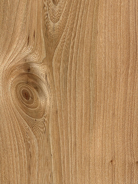 wood-types-to-make-furniture wood-types-to-make-furniture