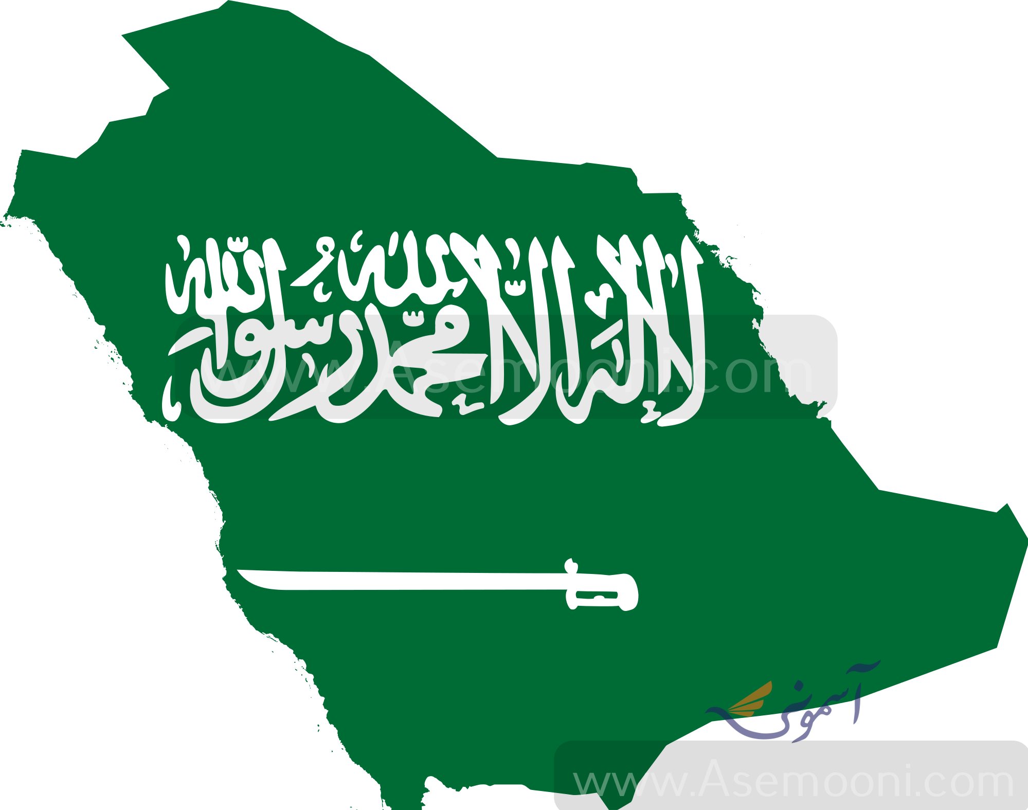 introduction-of-saudi-arabia-national-football-team