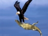 popular post image
