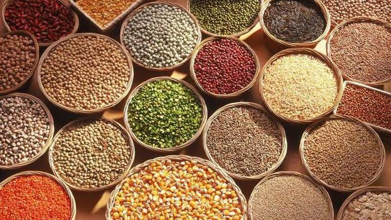 آشنایی با غلات، اهمیت و انواع غلات