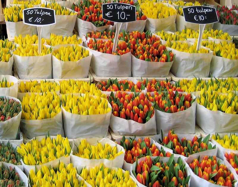 آشنایی با صنعت و تجارت گل