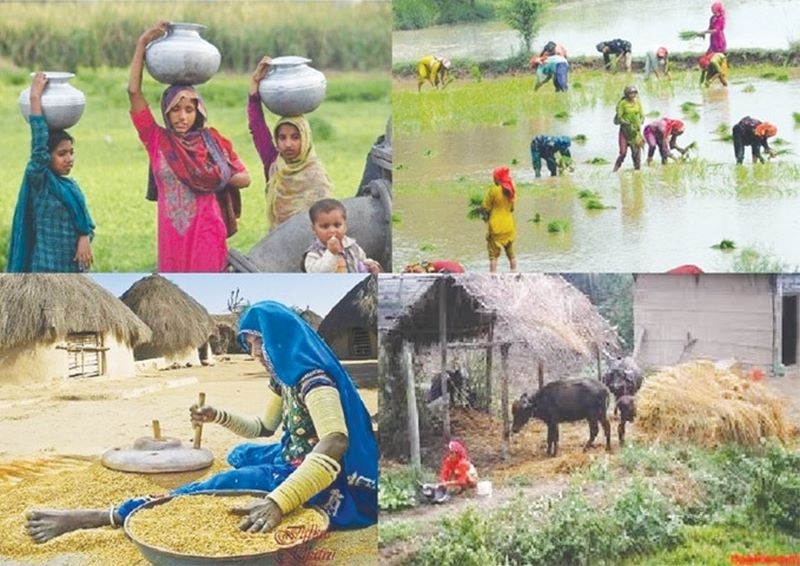 ایده های کارآفرینی روستایی