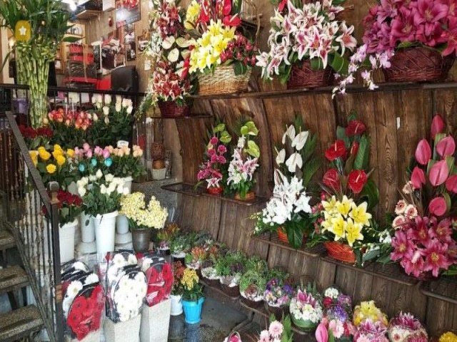 اتحادیه گل و گیاه استان تهران اتحادیه گل و گیاه استان تهران