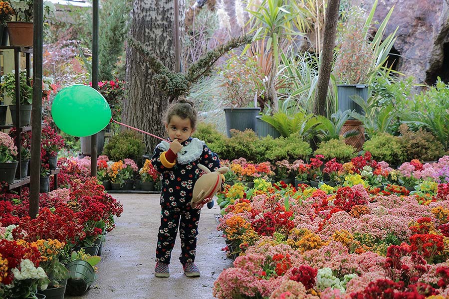 تصاویر دیدنی 26 اسفند 97 تصاویر دیدنی 26 اسفند 97