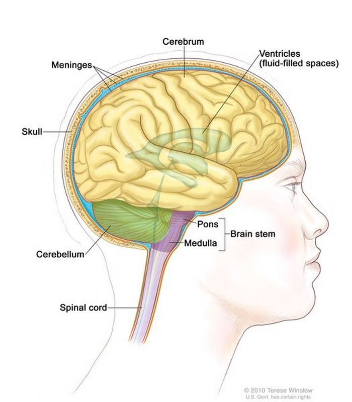 تای‌ ساکس چیست (علل، علائم، پیشگیری و درمان) tay sachs disease