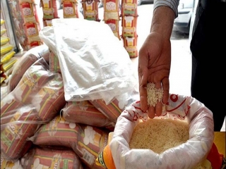 برنج‌های ناخالص شهروند آزمایش می شوند