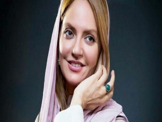 اظهارات سخنگوی قوه قضائیه در مورد پرونده مهناز افشار