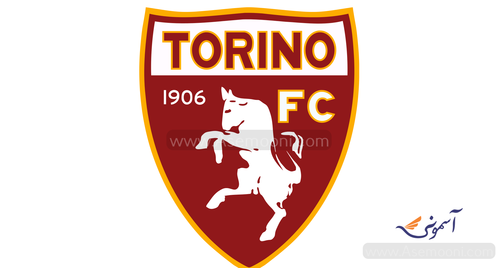 torino-logo-during-time