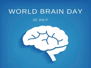 22 جولای ، روز جهانی مغز