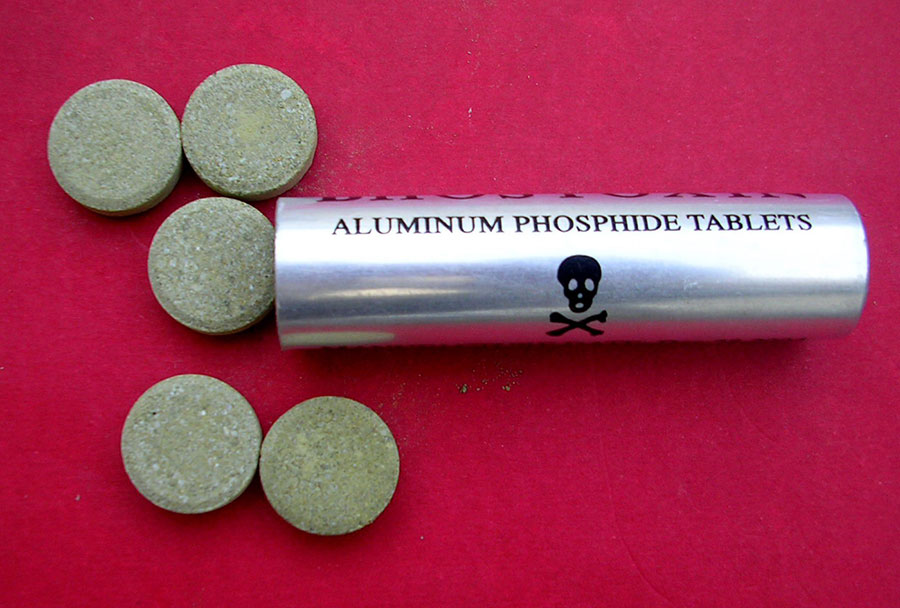 مرگ 32 نفر بر اثر مصرف "قرص برنج" در 3 ماه اول امسال - 32 deaths from Aluminium phosphide in first 3 months of this year