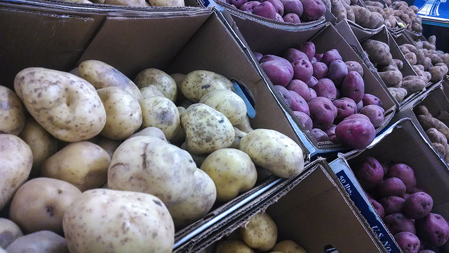 کاهش قیمت سیبزمینی تا 15 روز دیگر - Decrease the price of potatoes in 15 days کاهش قیمت سیبزمینی تا 15 روز دیگر - Decrease the price of potatoes in 15 days