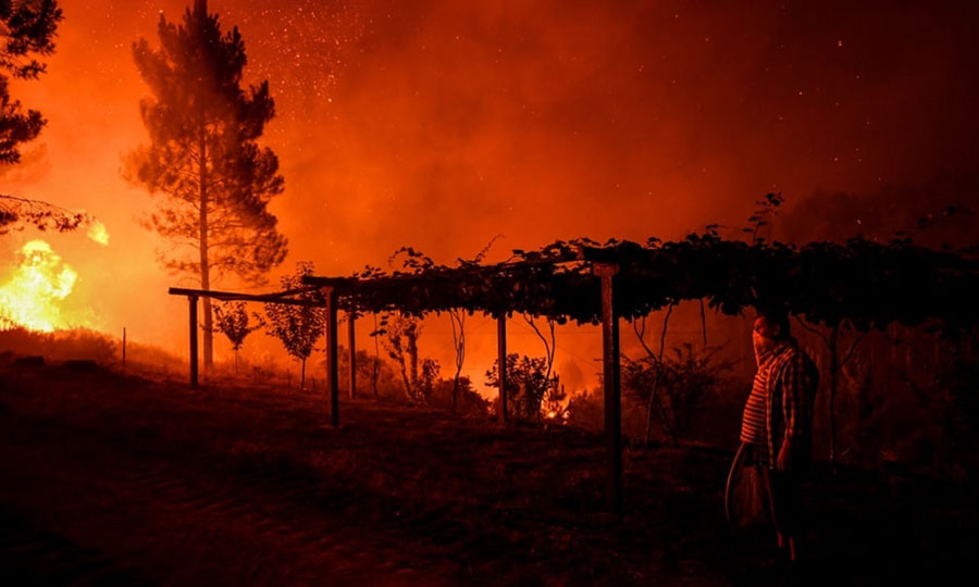 آتش‌سوزی جنگلی به دلیل گرمای هوا در پرتغال