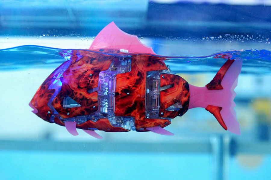 نمایش یک روبات ماهی در نمایشگاه روبات در شاندونگ چین