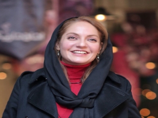 ماجرای مهناز افشار به اطلاعات مربوط نیست