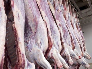 با عرضه تدریجی دام‌های انباشته شده در دامداری‌ها قیمت گوشت کاهش می‌یابد