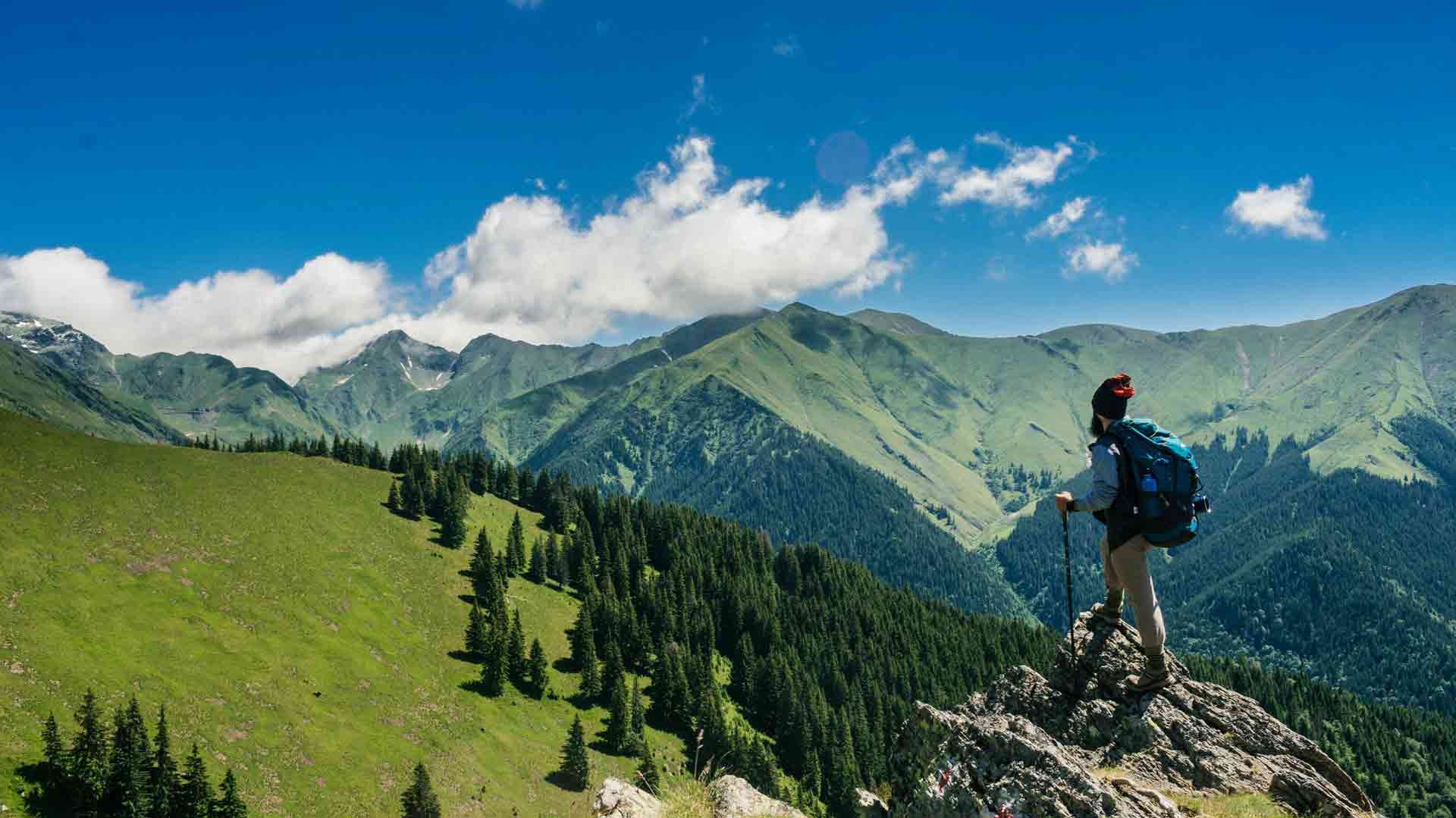 طبیعت گردی