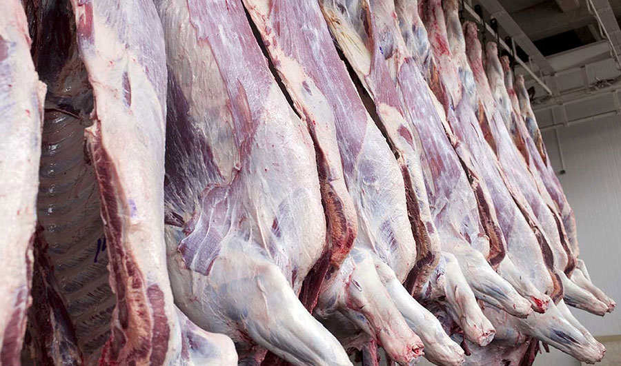 با عرضه تدریجی دام‌های انباشته شده در دامداری‌ها قیمت گوشت کاهش می‌یابد - Meat price reduced
