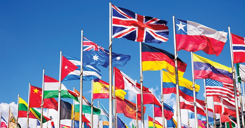 دفتر مهاجرتی | بهترین موسسه مهاجرتی