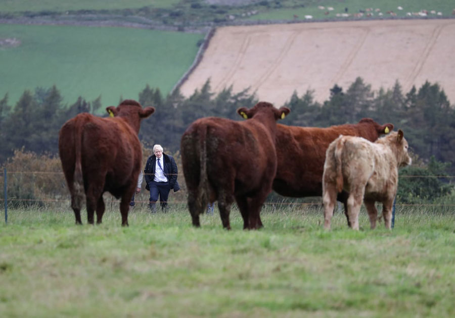 بوریس جانسون نخست وزیر جدید بریتانیا در بازدید از یک مزرعه در آبردین اسکاتلند