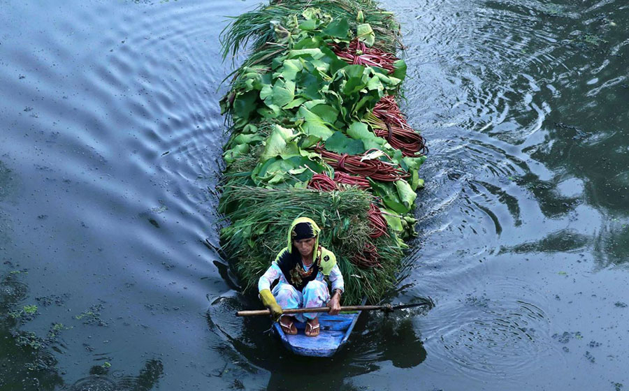 یک قایق با بار سبزیجات در دریاچه دال کشمیر