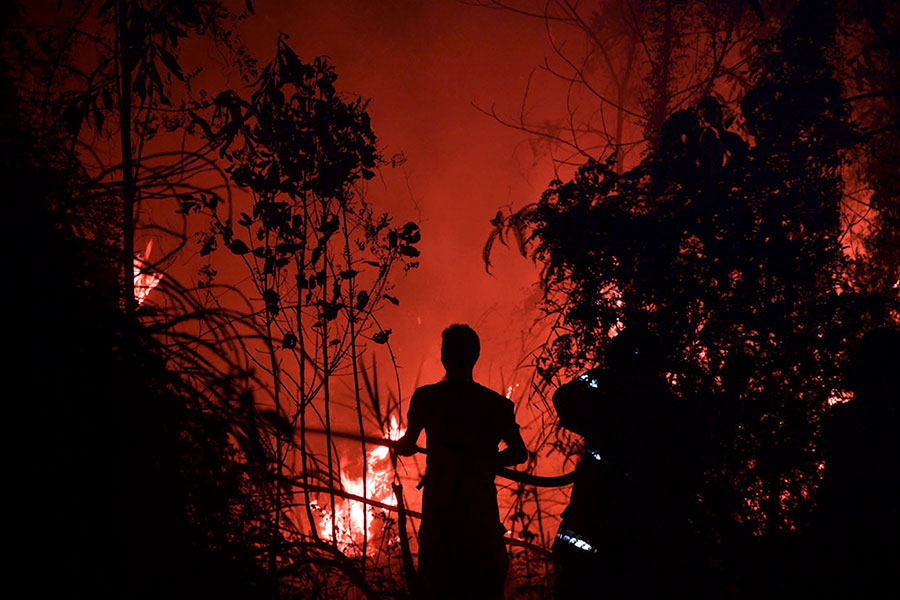 آتش سوزی در جنگل های اندونزی