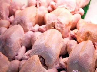 قیمت مرغ در بازار 3 درصد افزایش یافت