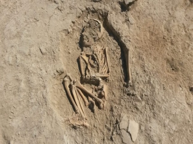 اکتشاف اسکلت 5 هزار ساله در ترکیه