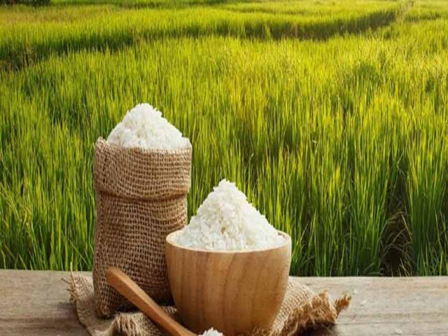 خودکفا شدن ایران در تولید برنج