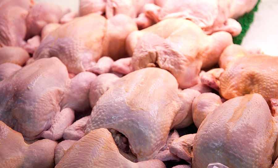قیمت مرغ در بازار 3 درصد افزایش یافت - Chicken prices rose 3 percent on the market
